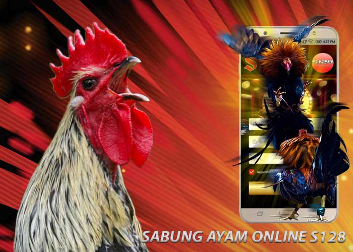 Detail Ayam Paruh Elang Nomer 29