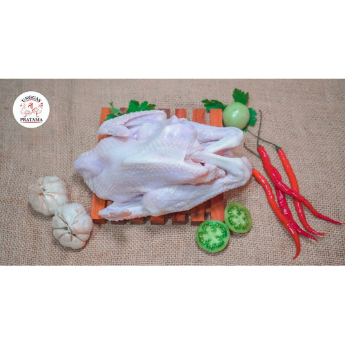 Detail Ayam Sayur Jantan Nomer 48