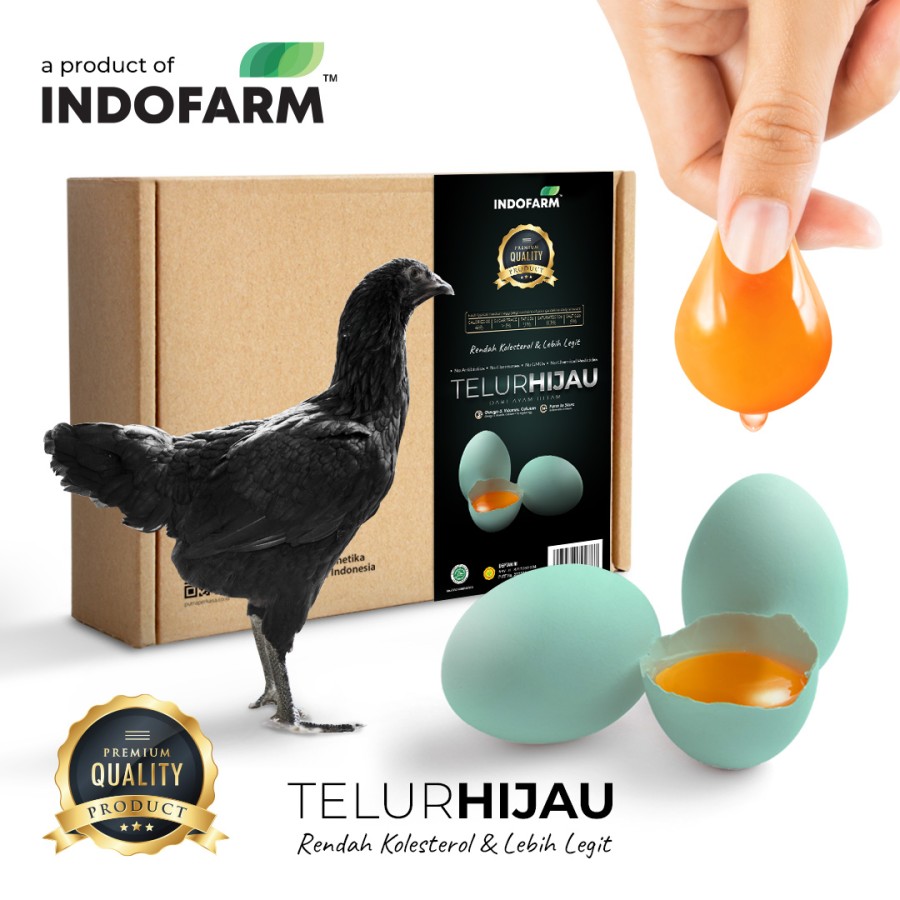 Detail Ayam Telur Hijau Nomer 13