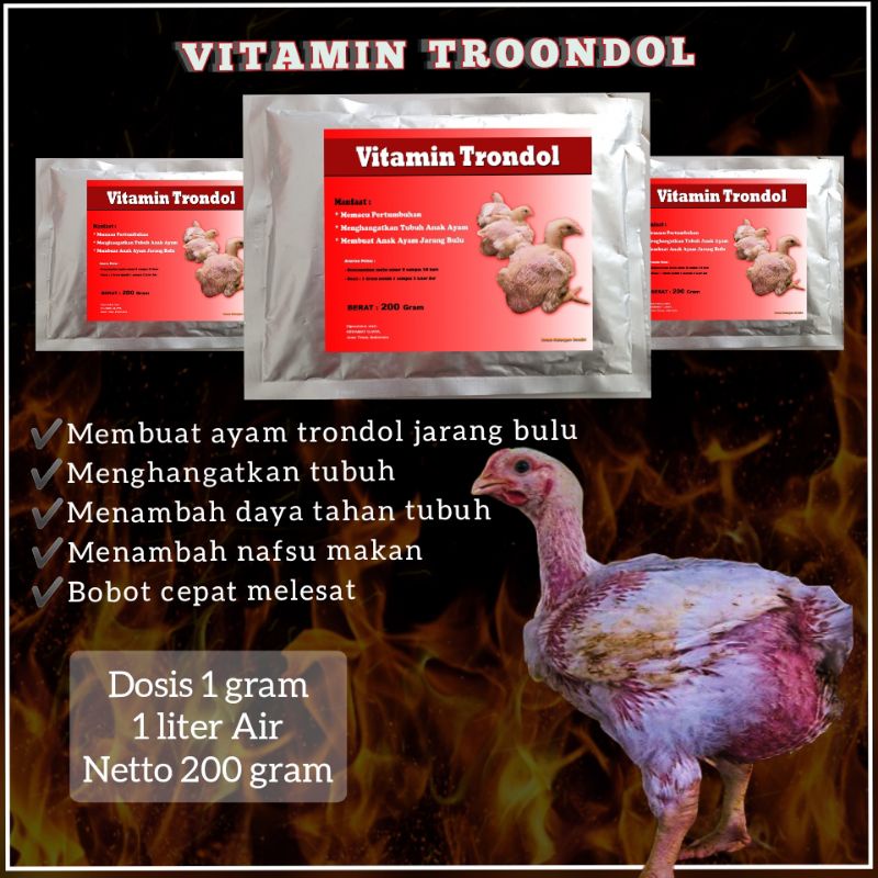 Detail Ayam Trondol Nomer 19