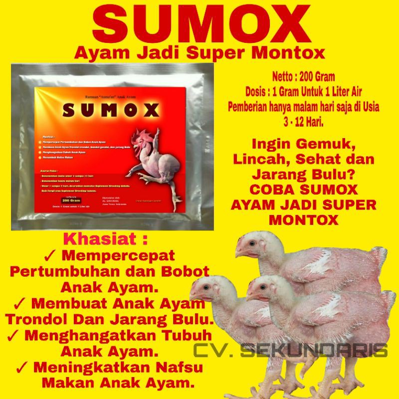 Detail Ayam Trondol Nomer 24