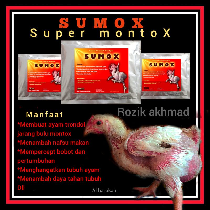 Detail Ayam Trondol Nomer 35