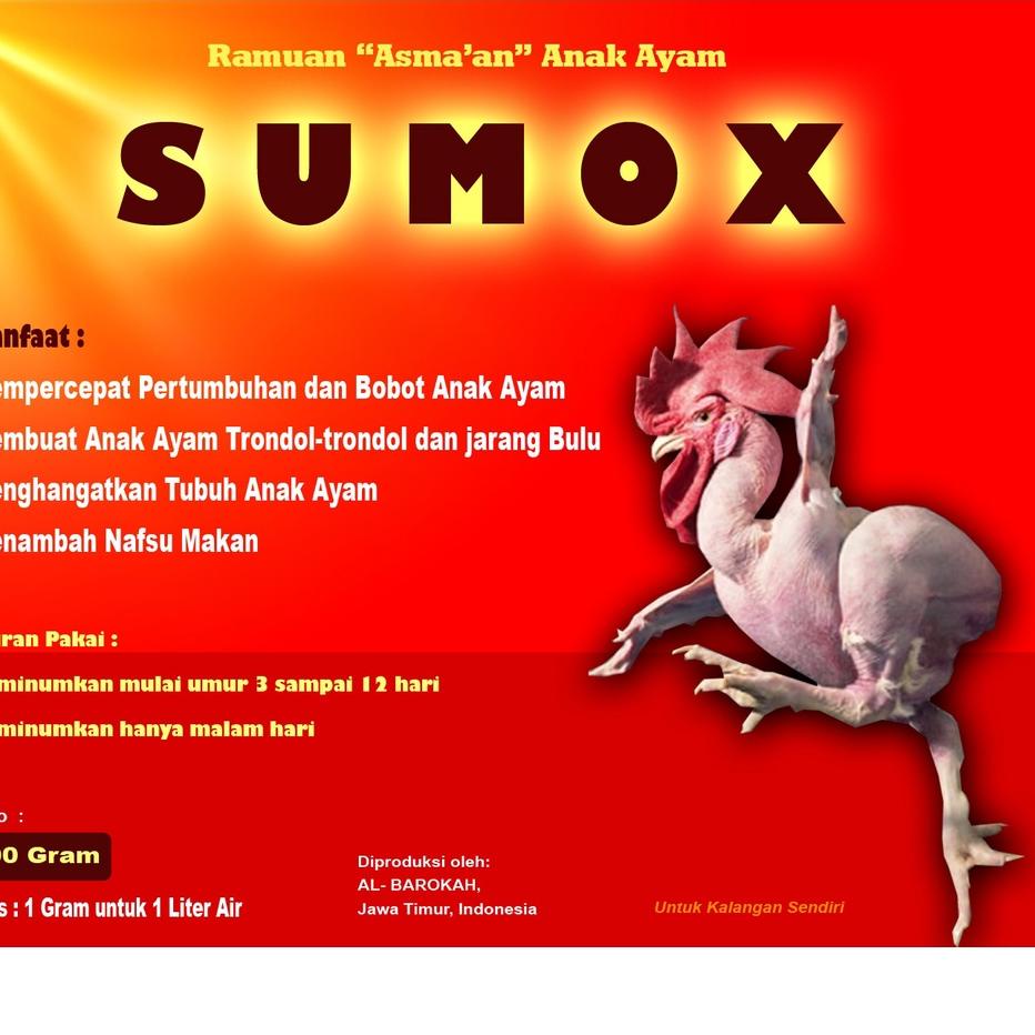 Detail Ayam Trondol Nomer 37
