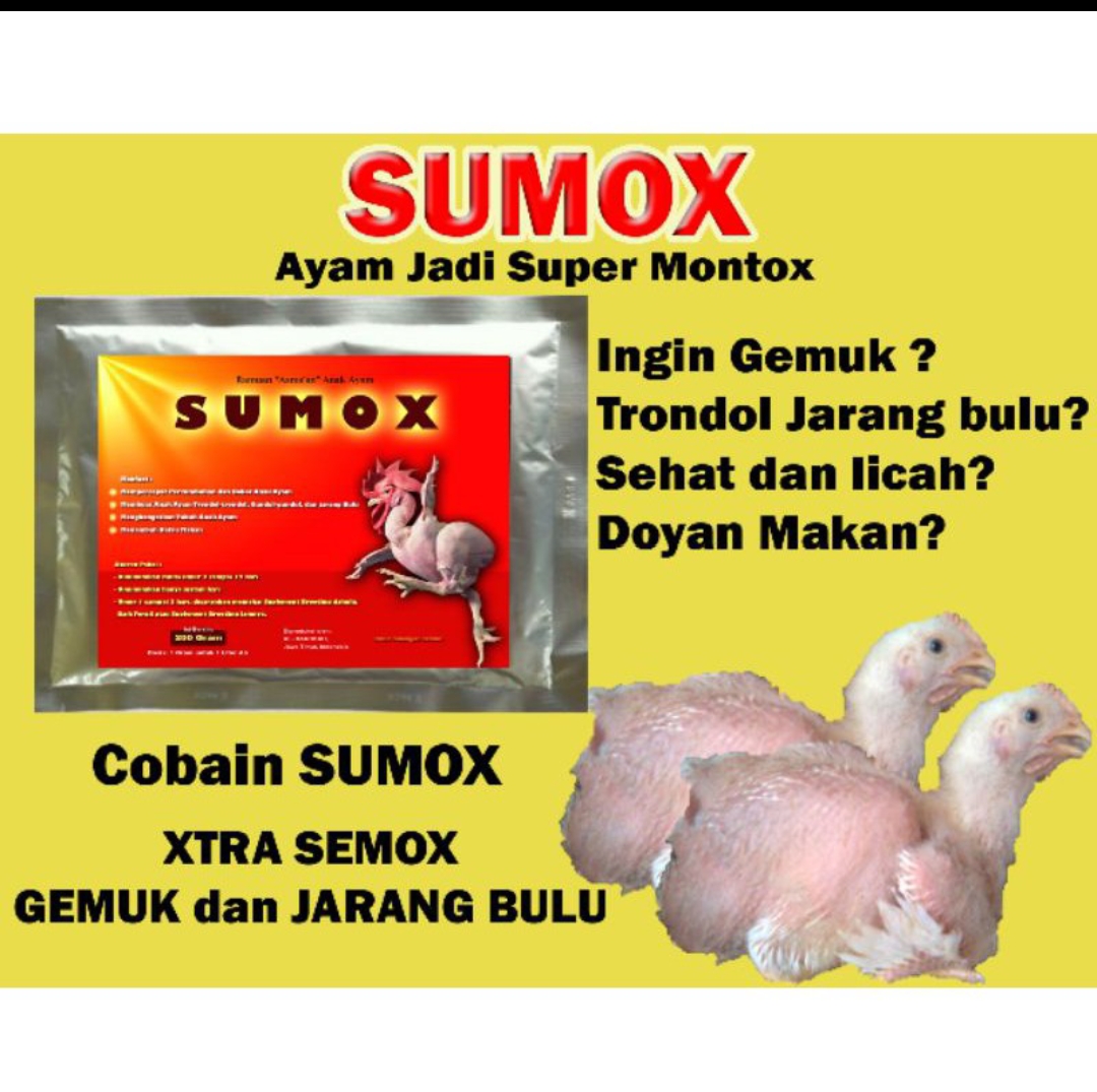Detail Ayam Trondol Nomer 42