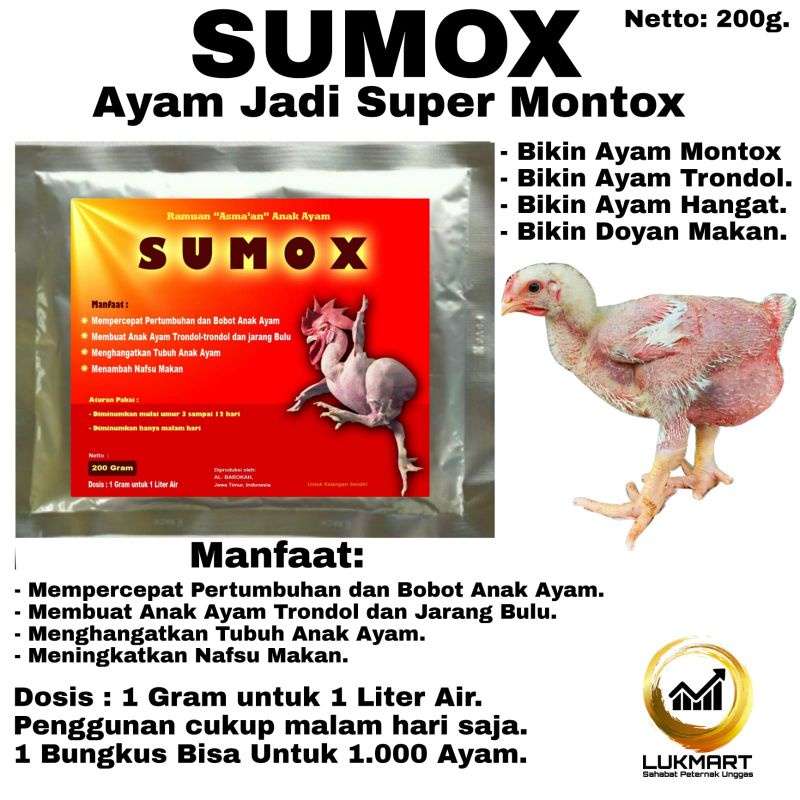 Detail Ayam Trondol Nomer 50
