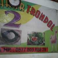 Detail Ayam Trondol Nomer 51