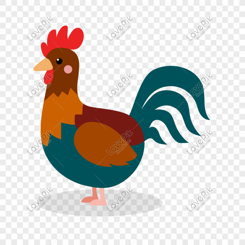 Detail Ayam Vector Png Nomer 22