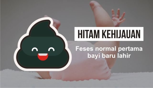 Detail Bab Bayi Warna Hitam Kehijauan Nomer 12