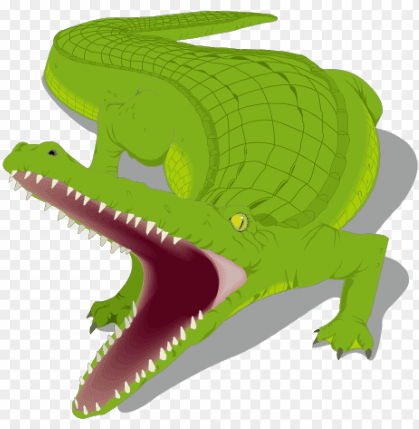 Detail Baby Alligator Png Nomer 34