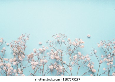 Detail Baby Breath Wallpaper Nomer 26