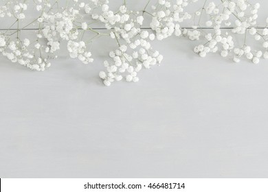 Detail Baby Breath Wallpaper Nomer 36