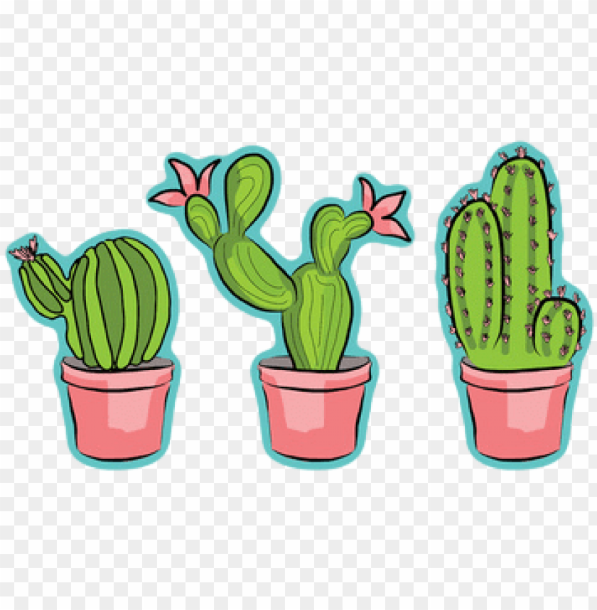 Detail Baby Cactus Clipart Nomer 21