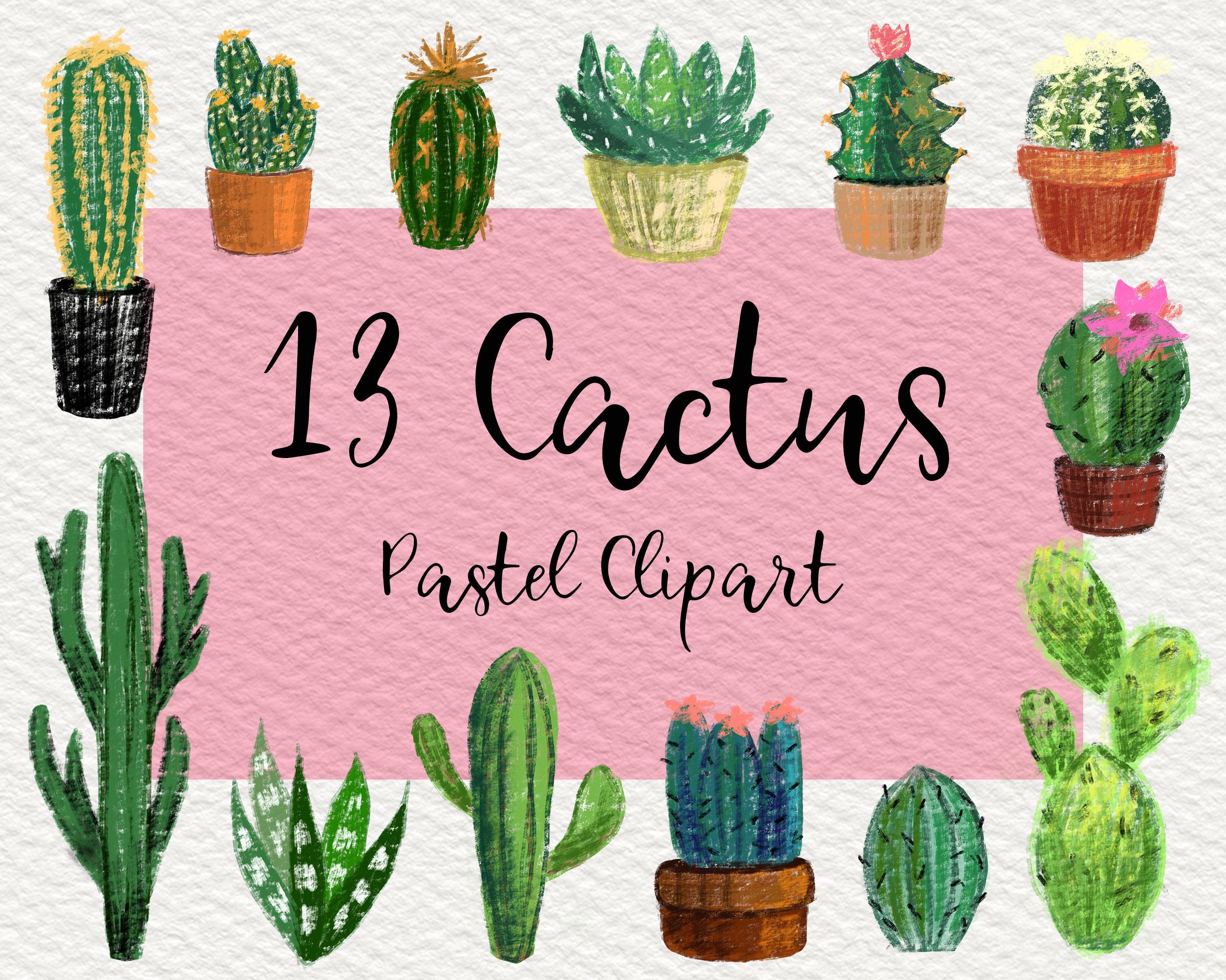 Detail Baby Cactus Clipart Nomer 40