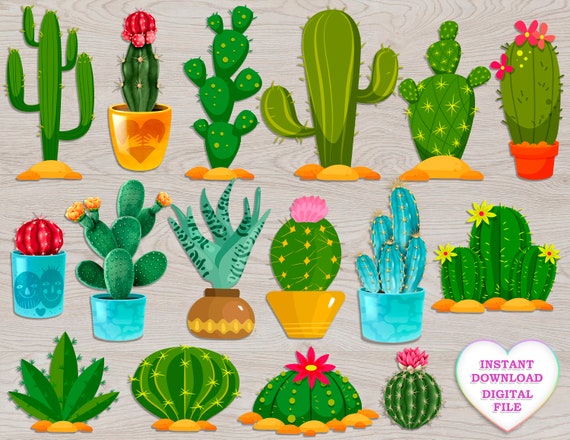 Detail Baby Cactus Clipart Nomer 44