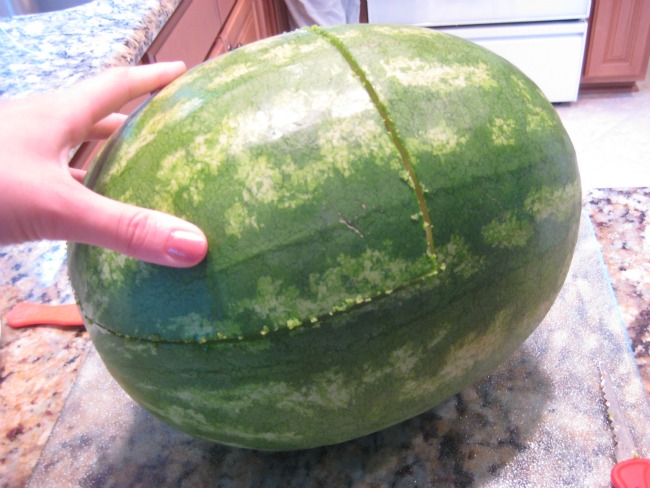 Detail Baby Carriage Watermelon Bowl Nomer 38