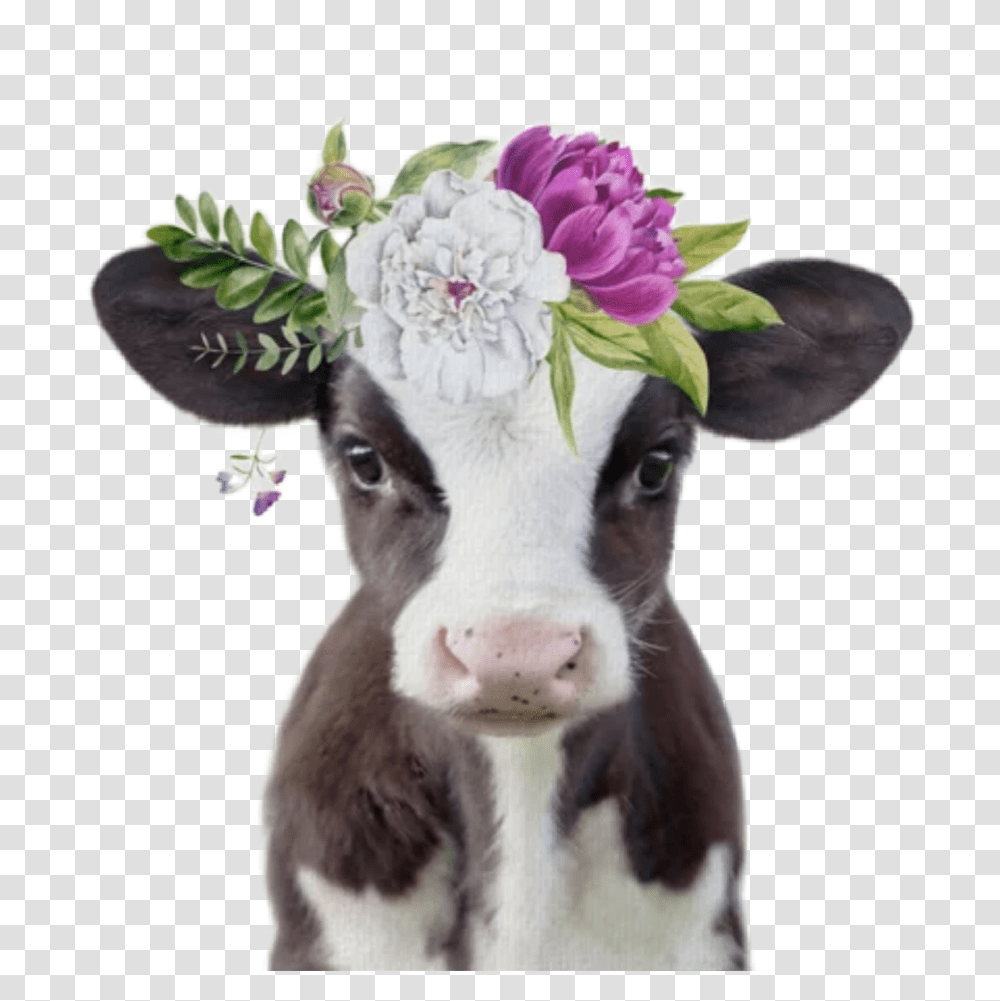 Detail Baby Cow Png Nomer 45