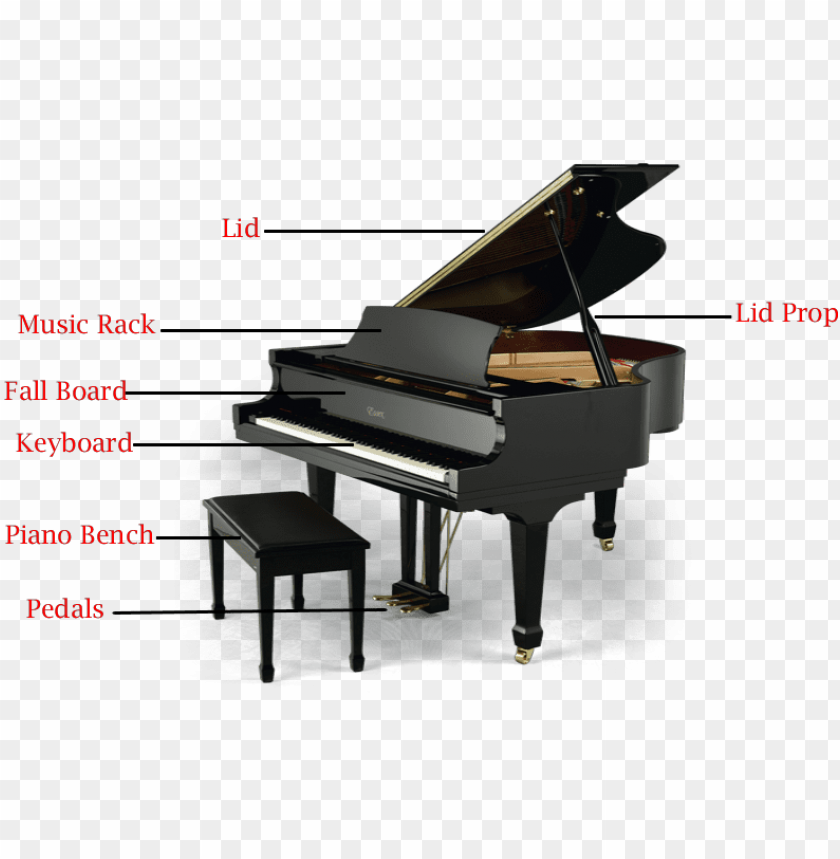 Detail Baby Grand Piano Png Nomer 25