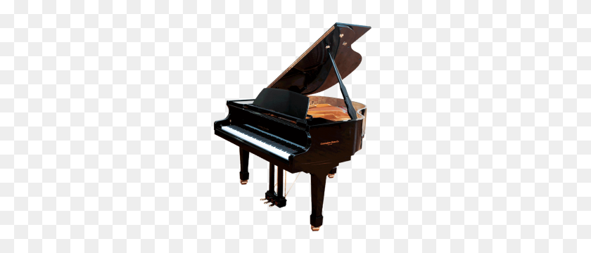 Detail Baby Grand Piano Png Nomer 10