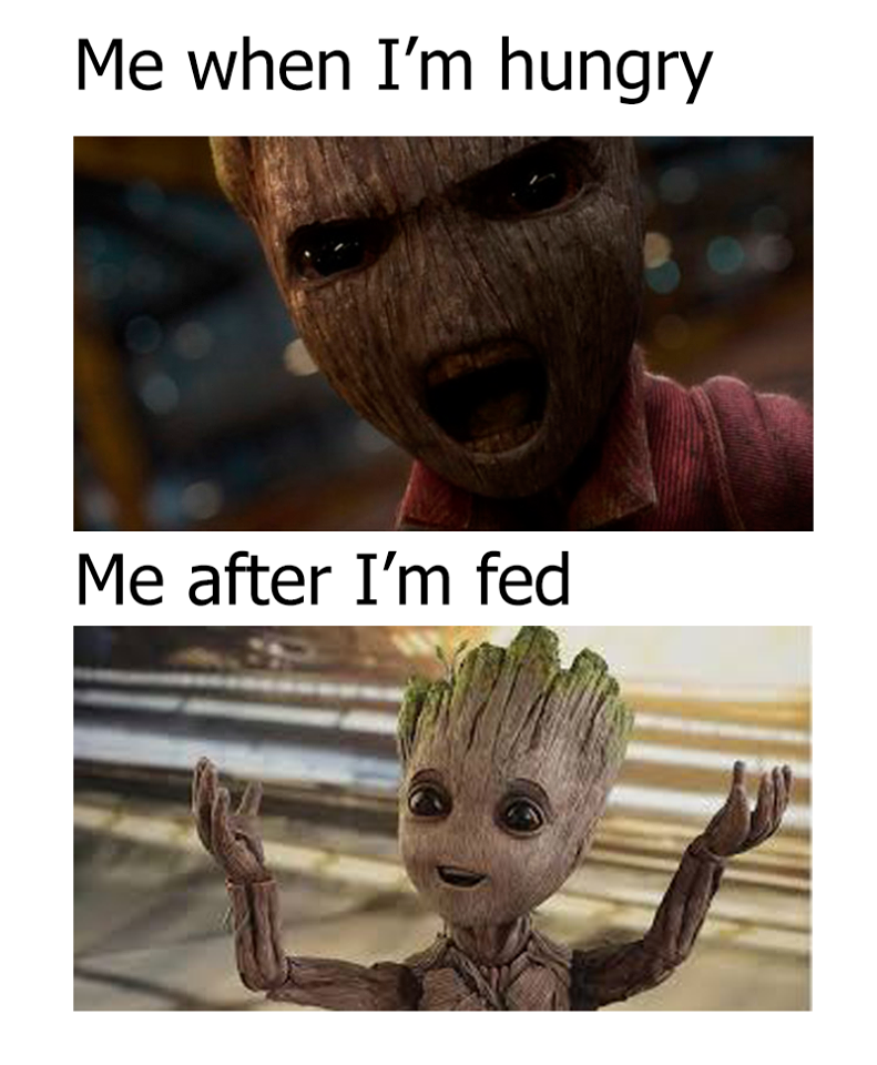 Detail Baby Groot Meme Nomer 50