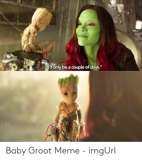 Detail Baby Groot Meme Nomer 52