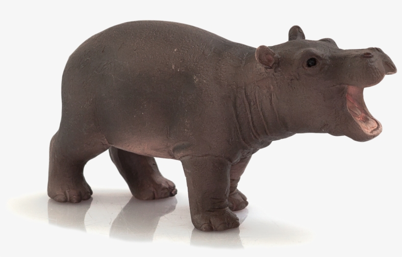 Detail Baby Hippo Png Nomer 13