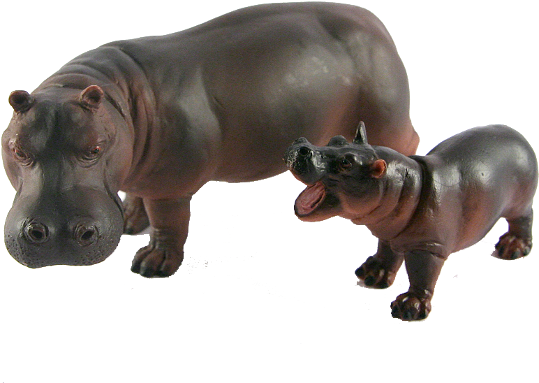 Detail Baby Hippo Png Nomer 26