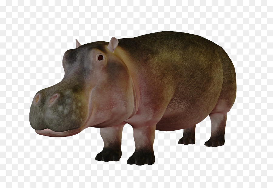 Detail Baby Hippo Png Nomer 39