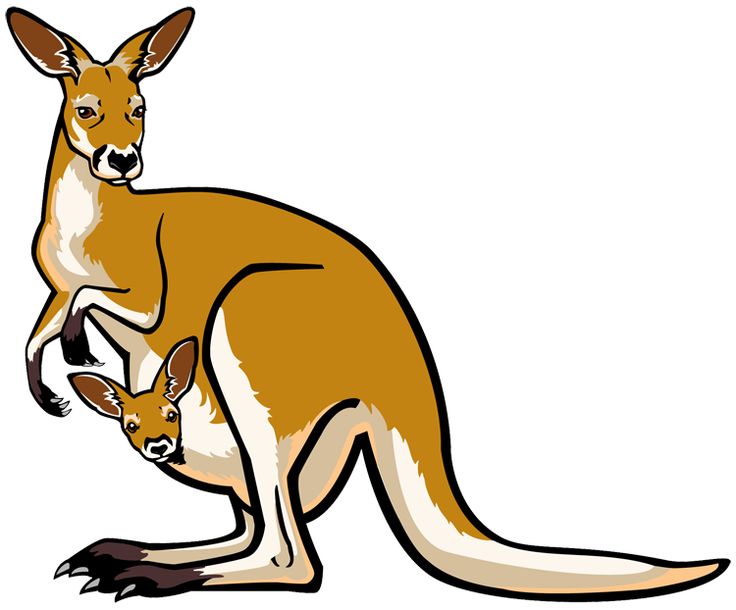 Detail Baby Kangaroo Clipart Nomer 46
