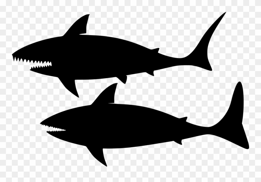 Detail Baby Shark Black And White Clipart Nomer 35