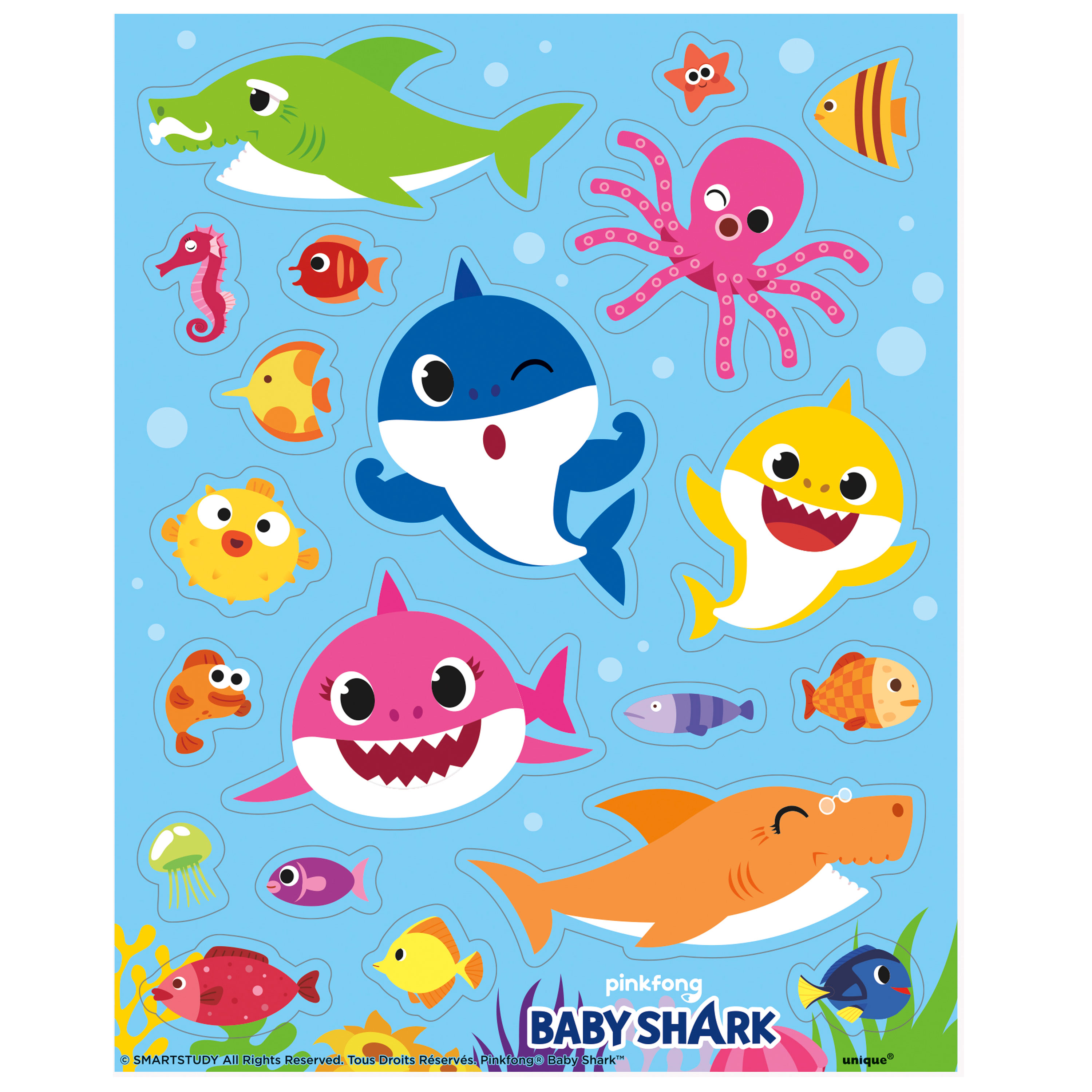 Detail Baby Shark Fish Images Nomer 16