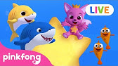 Detail Baby Shark Video Download Nomer 32