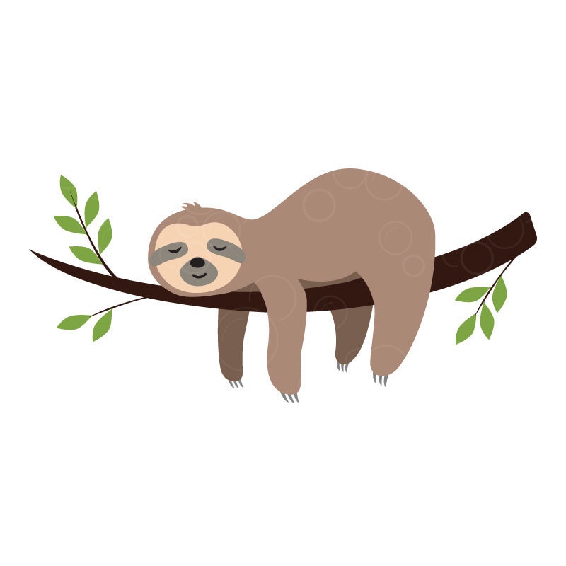 Detail Baby Sloth Png Nomer 18