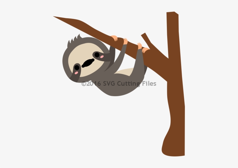 Detail Baby Sloth Png Nomer 26