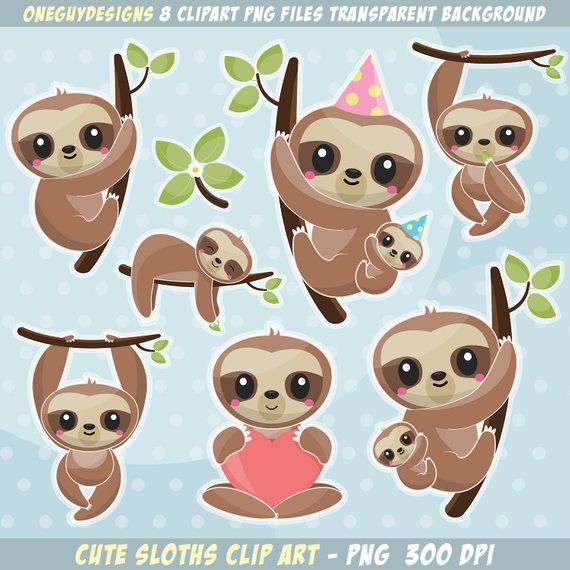 Detail Baby Sloth Png Nomer 43