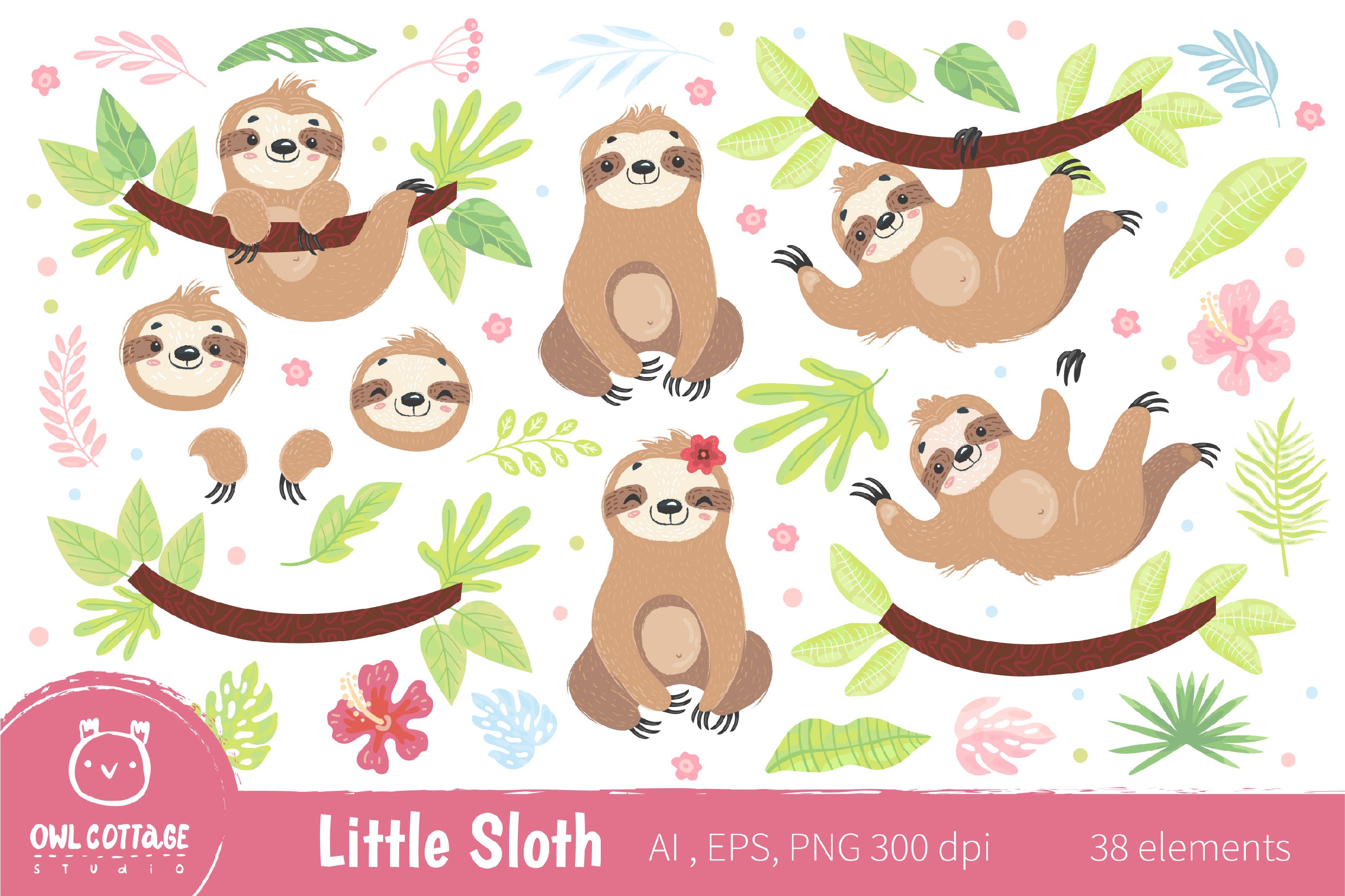Detail Baby Sloth Png Nomer 51