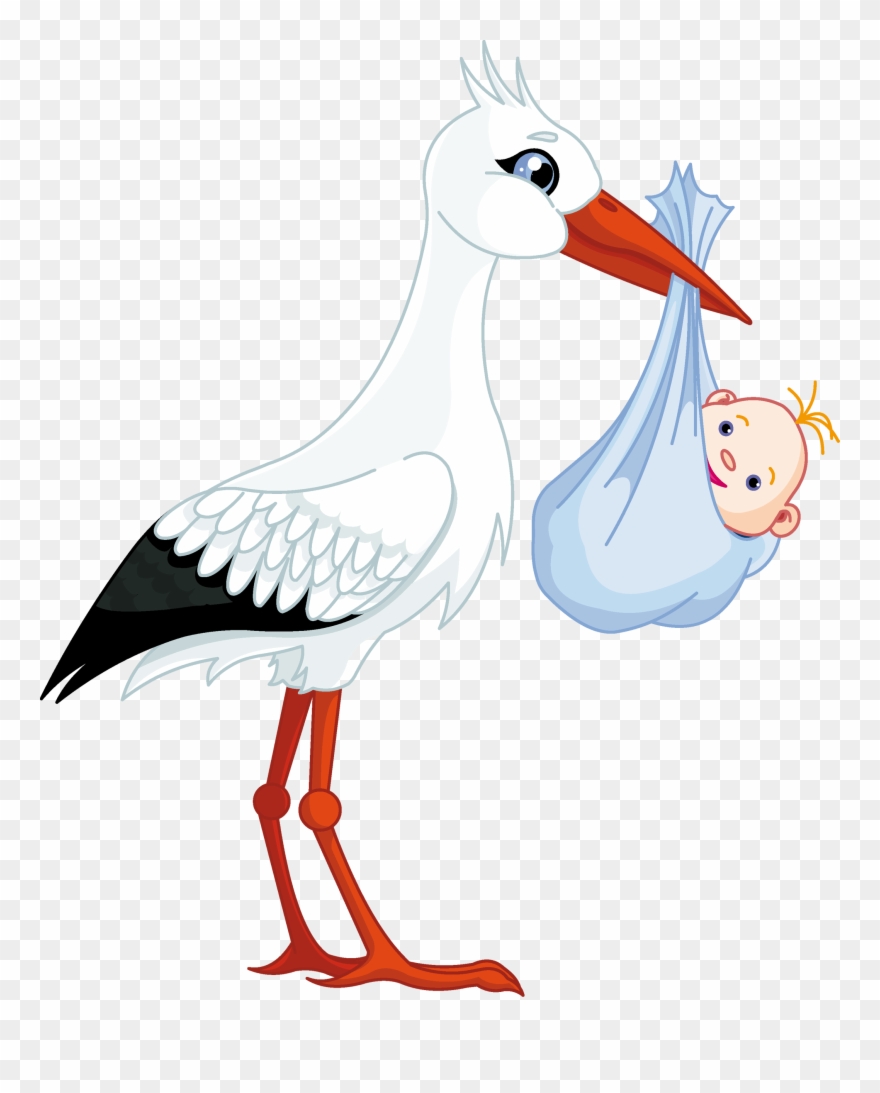 Detail Baby Stork Clipart Nomer 43