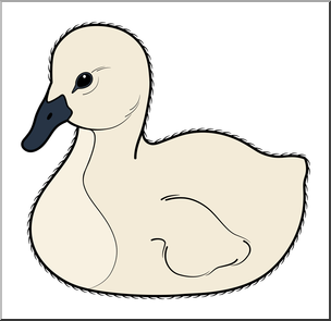 Detail Baby Swan Clipart Nomer 7