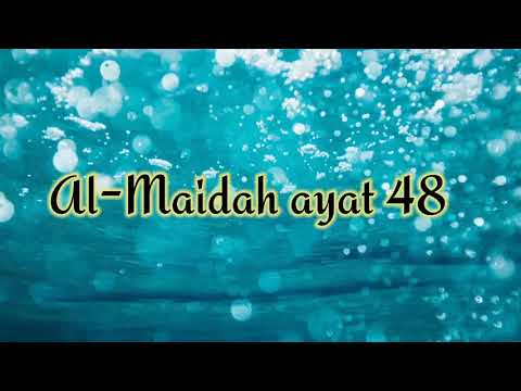 Detail Bacaan Latin Surat Al Maidah Ayat 48 Nomer 41