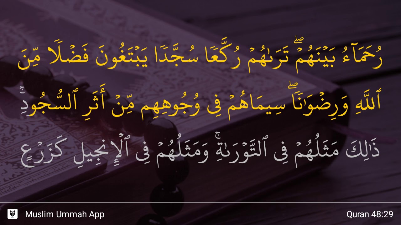 Detail Bacaan Surat Al Fath Nomer 49