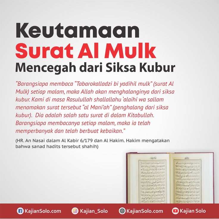 Detail Bacaan Surat Al Mulk Sebelum Tidur Nomer 22