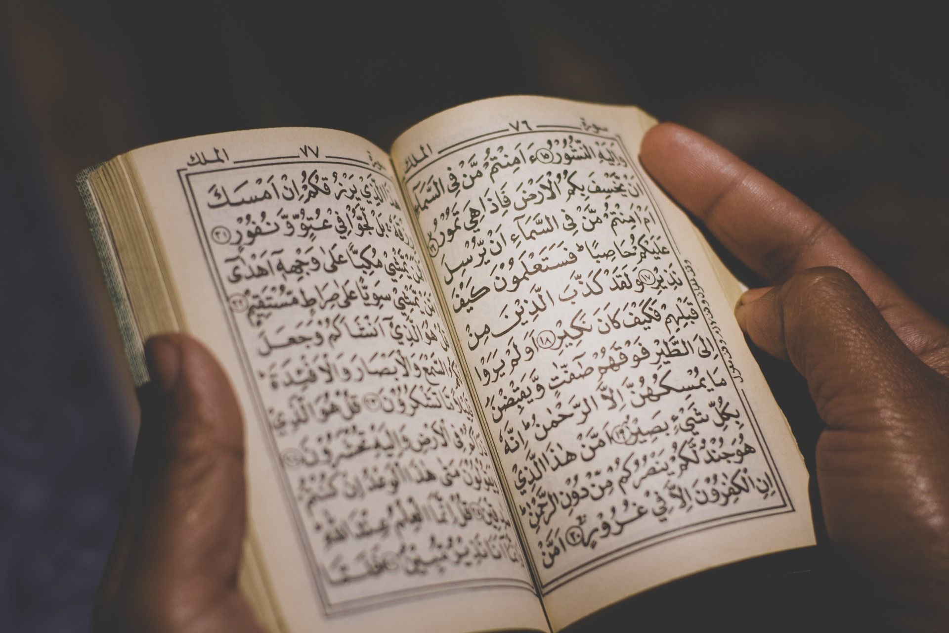 Detail Bacaan Surat Al Quran Di Pagi Hari Nomer 29