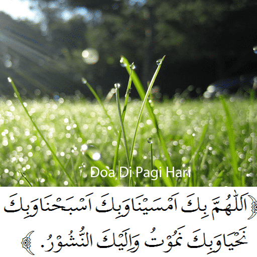Detail Bacaan Surat Al Quran Di Pagi Hari Nomer 5