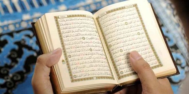 Detail Bacaan Surat Alquran Nomer 29