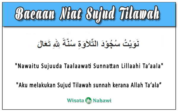 Detail Bacaan Surat Sajadah Nomer 8