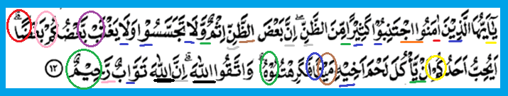 Detail Bacaan Tajwid Surat Al Hujurat Ayat 10 Nomer 36