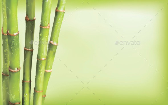 Detail Bacground Bambu Nomer 54