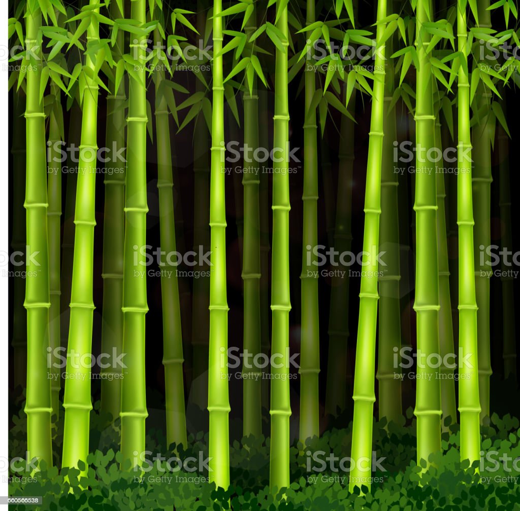 Detail Bacground Bambu Nomer 57
