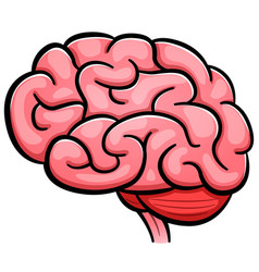 Brain Illustration Vector - KibrisPDR