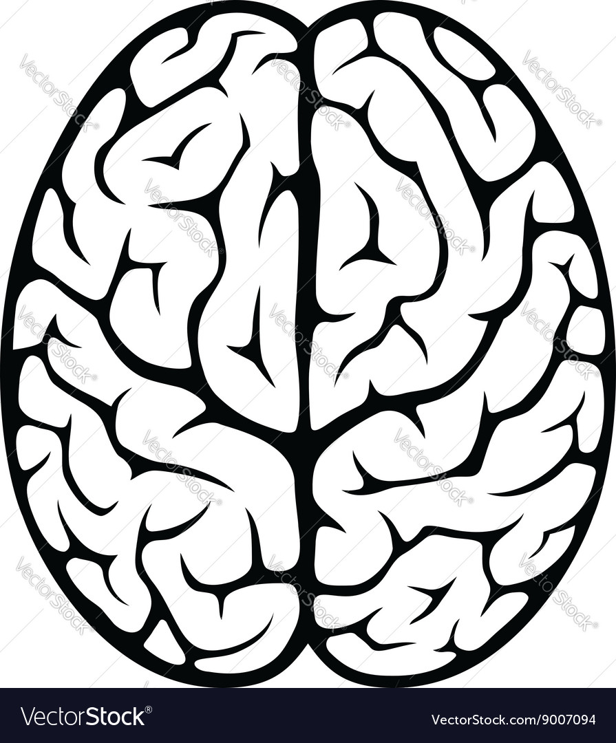 Detail Brain Illustration Vector Nomer 11