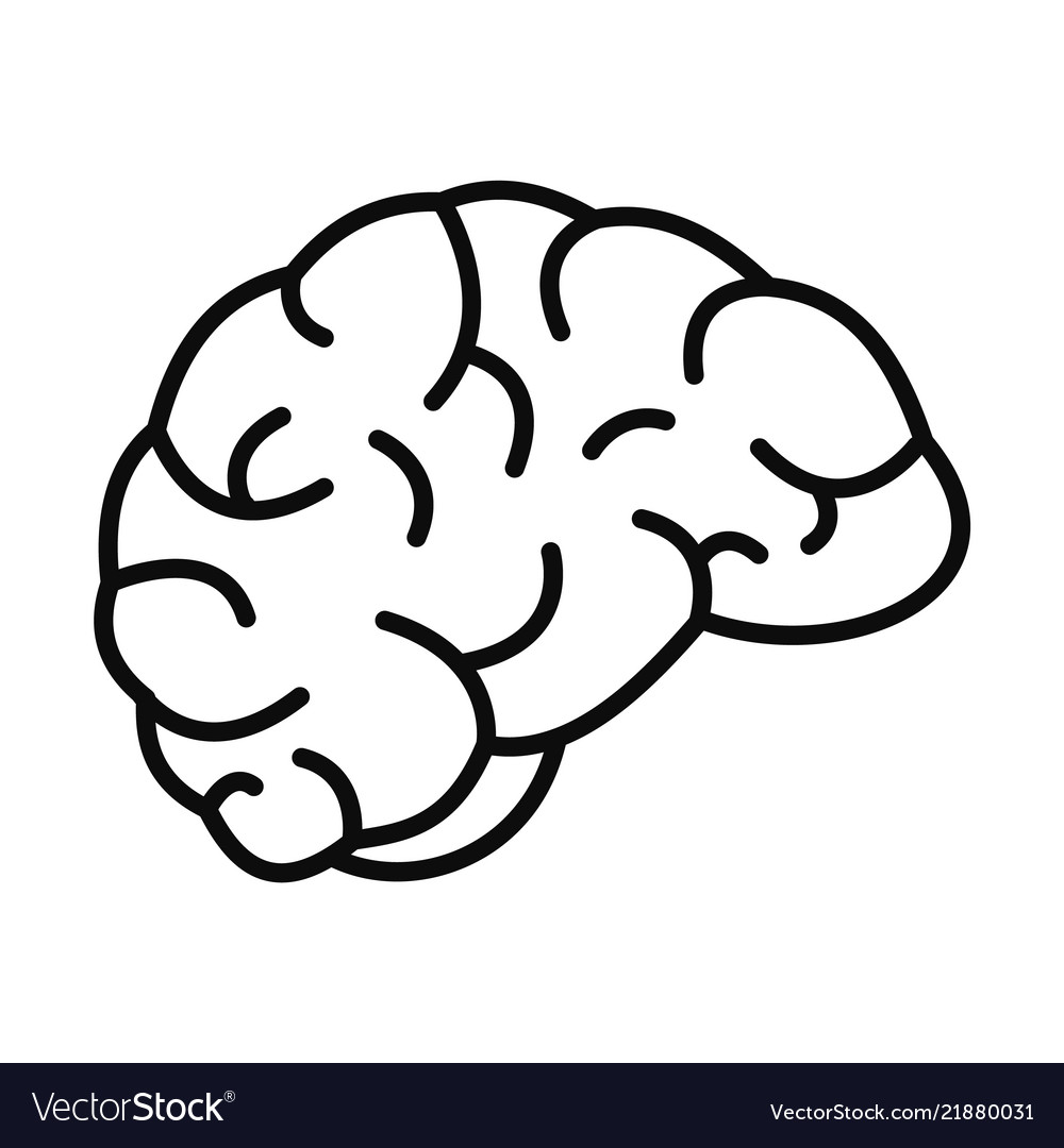 Detail Brain Illustration Vector Nomer 25